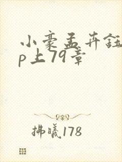 小豪孟卉钰慧三p上79章