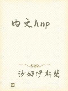 肉文hnp