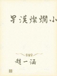 星汉灿烂小说
