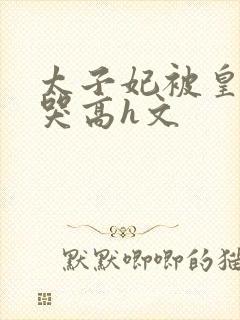 太子妃被皇上c哭高h文