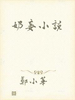 奶妾小说