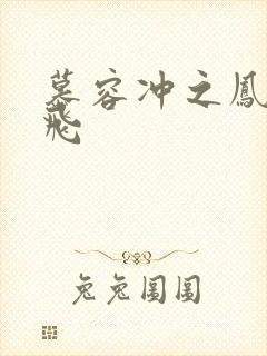 慕容冲之凤凰于飞封面