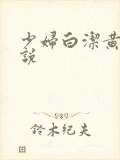 少妇白洁黄色小说