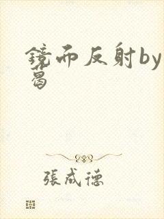 镜面反射by九葛