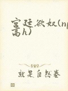 宫廷欲奴(np高h)