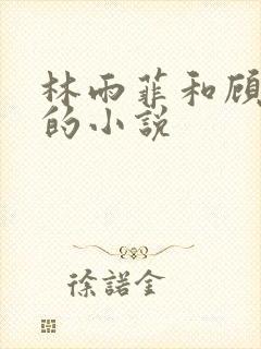 林雨菲和顾北潇的小说