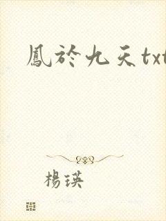 凤于九天txt