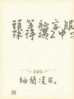 头等舱客服的特殊待遇2中字封面