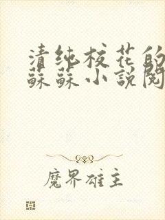 清纯校花的日常苏苏小说阅读全文