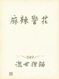 麻辣警花