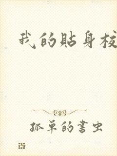 我的贴身校花