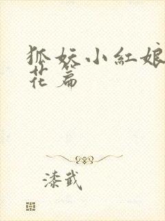 狐妖小红娘两生花篇封面