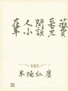 在人间采薇陆三平小说免费阅读封面