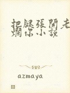 把腿张开老子臊烂你小说