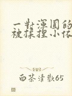 一对浑圆的胸乳被揉捏小依