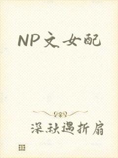 NP文女配