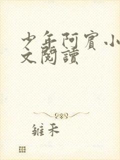 少年阿宾小说全文阅读