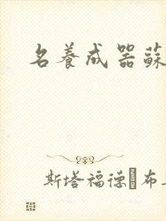 名养成器苏沫沫