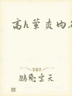 高h荤爽肉欲文