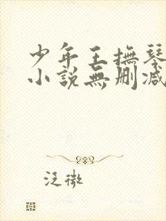 少年王抚琴的人小说无删减正版在线阅读