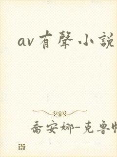 av有声小说