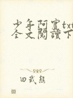 少年阿宾txt全文阅读下载