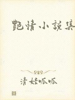 艳情小说集封面