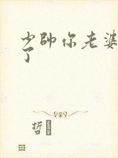 少帅你老婆又跑了