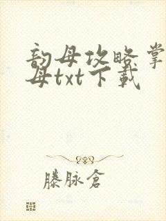 韵母攻略掌中美母txt下载