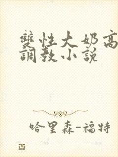 双性大奶高嗨黄调教小说