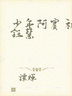 少年阿宾 初识钰慧封面