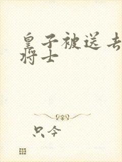 皇子被送去犒劳将士