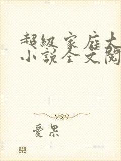 超级家庭大杂烩小说全文阅读