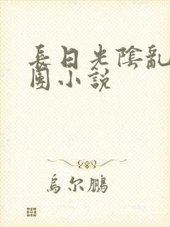 长日光阴乱作一团小说