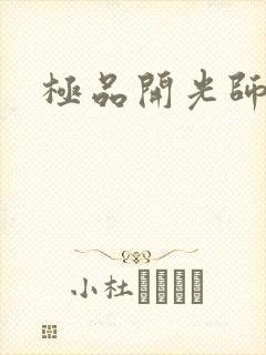 极品开光师