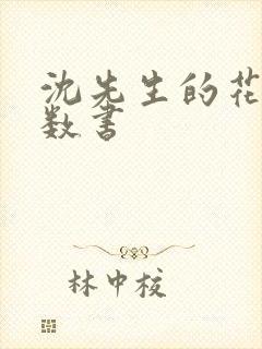 沈先生的花式调数书