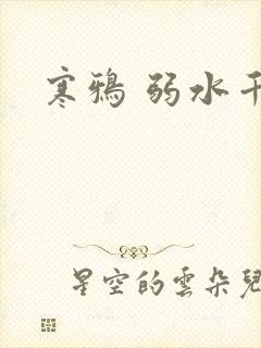 寒鸦 弱水千流
