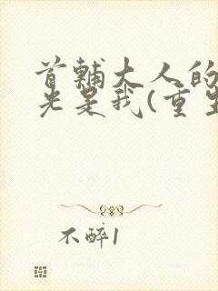 首辅大人的白月光是我(重生)封面