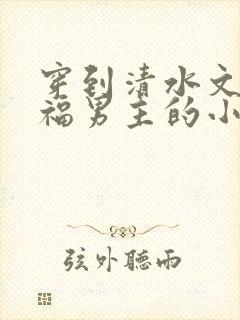 穿到清水文里造福男主的小说