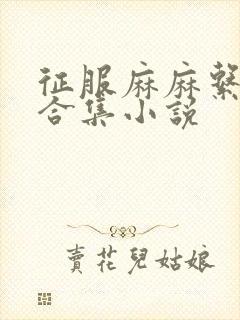 征服麻麻系列大合集小说封面