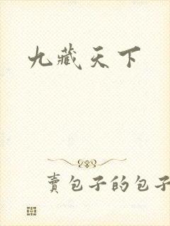 九藏天下