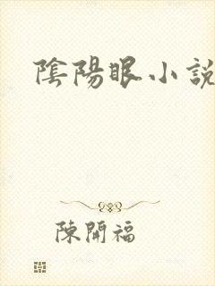 阴阳眼小说封面