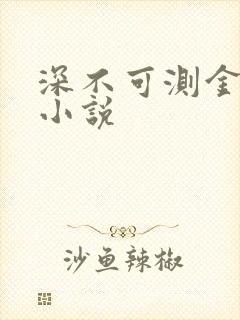 深不可测金银花小说