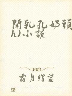 开乳孔奶头(高h)小说封面