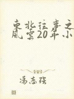 东北往事之黑道风云20年小说