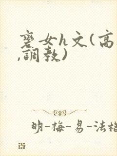 变女h文(高h,调教)