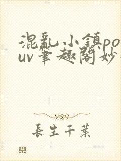混乱小镇popuv笔趣阁妙妙