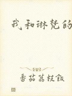我和琳梵的故事