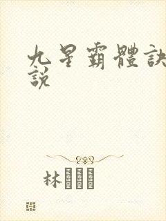九星霸体诀 小说