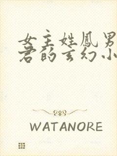 女主姓凤男主姓君的玄幻小说